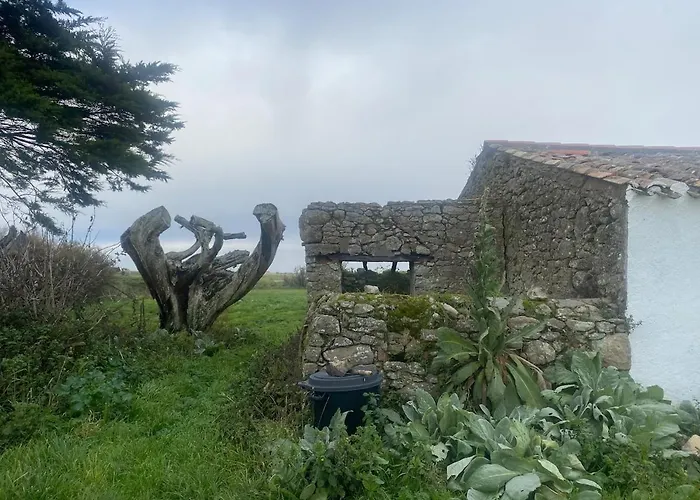 La Maisonette Des Marais Semesterbostad Bouin (Vendee)
