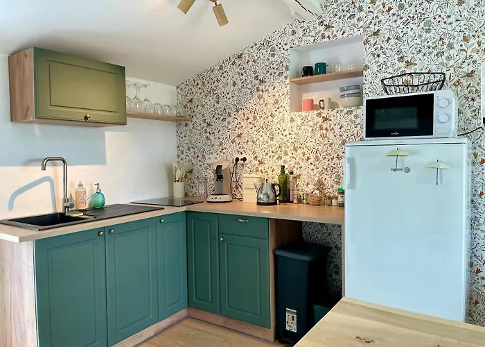 Vakantiehuis La Maisonette Des Marais Bouin (Vendee)