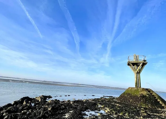 La Maisonette Des Marais Bouin (Vendee)