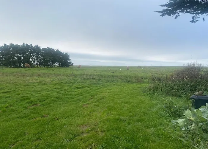La Maisonette Des Marais Bouin (Vendee)
